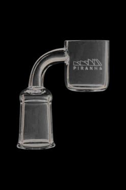 Shop Piranha Quartz 2mm Flat Top Banger Nail in australian