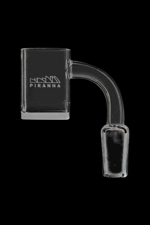 Shop Piranha Quartz Flat Top Opaque Bottom Banger Nail in australian