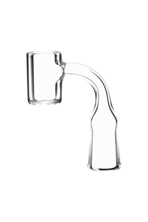 Shop Pulsar Quartz Small Deep Bucket Banger in australian
