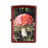 Red Mushroom