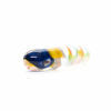 Shop Sherbet - Boro Pill - Pencil Rainbow in australian