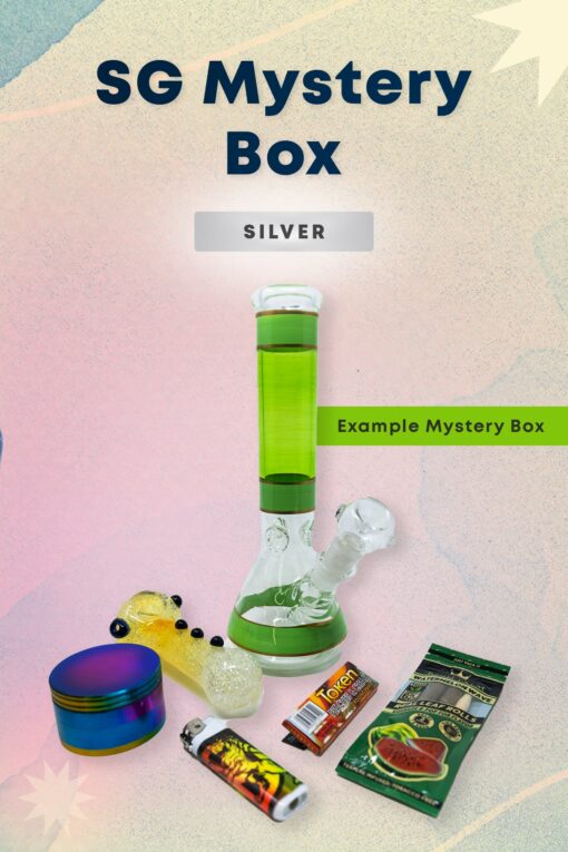 Shop SG Mystery Discount Box - Silver in australian