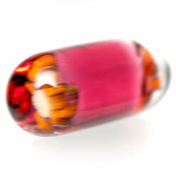 Shop Steve H Glass - Artist Series Pillar - Charmander - Karma in australian
