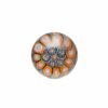 Shop Steve H Glass - Artist Series Pearl - Blue & Orange Mandala in australian