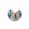 Shop Steve H Glass - Artist Series Pearl - Rainbow Butterfly in australian