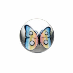 Shop Steve H Glass - Artist Series Pearl - Rainbow Butterfly in australian