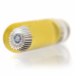 Shop Steve H Glass - Premium Series Pillar - Red & Blue Mandala - CFL Pastel Serum in australian