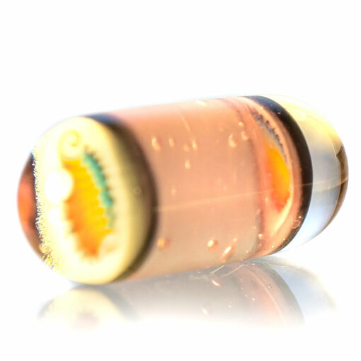 Shop Steve H Glass - Artist Series Pillar - Rainbow Wag - CFL Pastel Serum in australian