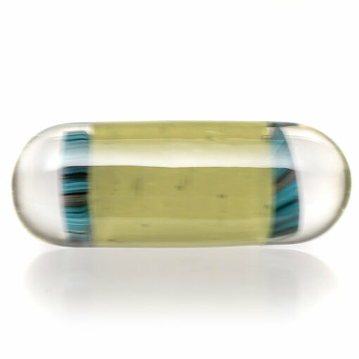 Shop Steve H Glass - Artist Series Pillar - Squirtle - CFL Pastel Potion in australian