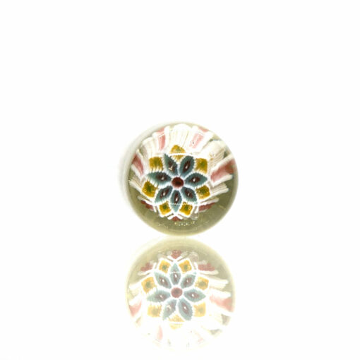 Shop Steve H - Pillard - Flower Mandala - CFL Potion in australian