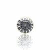 Shop Steve H - Pillard - Black & White Mandala - CFL Potion in australian