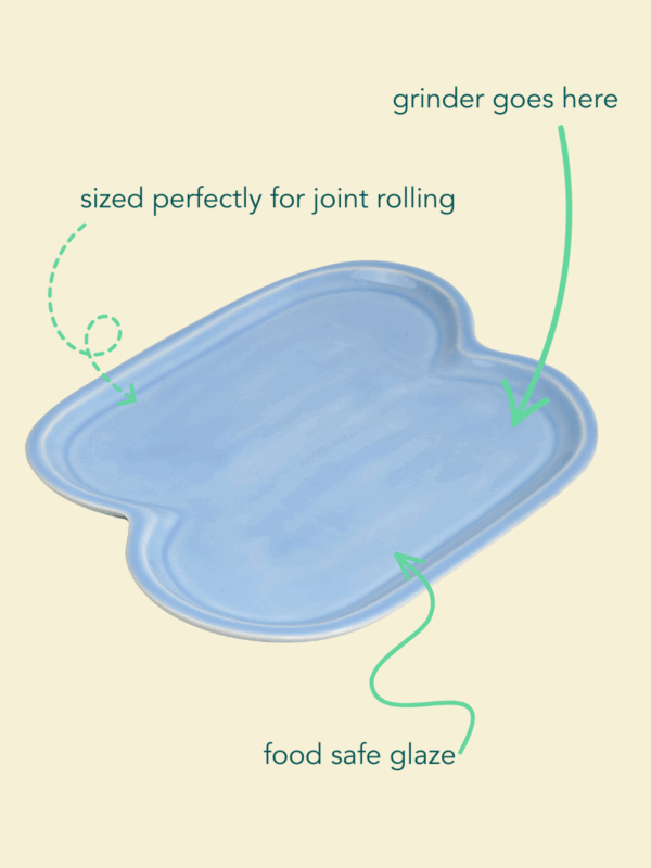 Shop Jellybean Tray in Sky in australian