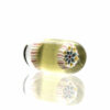 Shop Steve H - Pillard - Flower Mandala - CFL Potion in australian