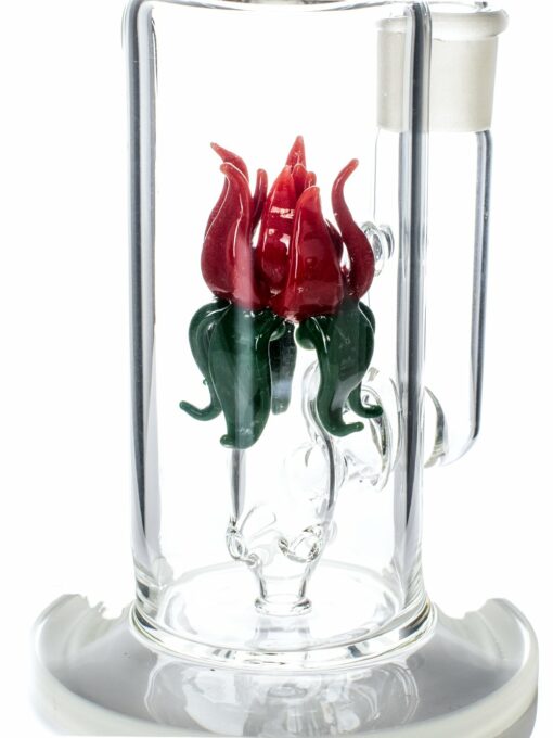 Shop Rose Bong in australian