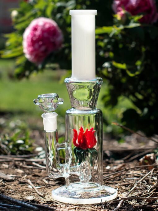 Shop Rose Bong in australian