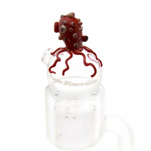 Shop Home Blown Glass Bubble Carb Cap - Turtle in australian