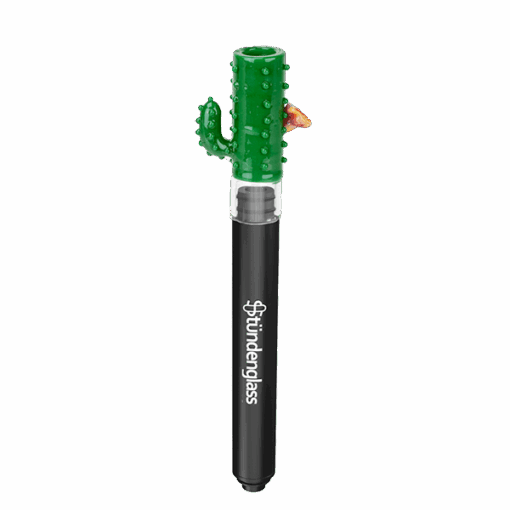 Shop Hose Tip Cactus in australian