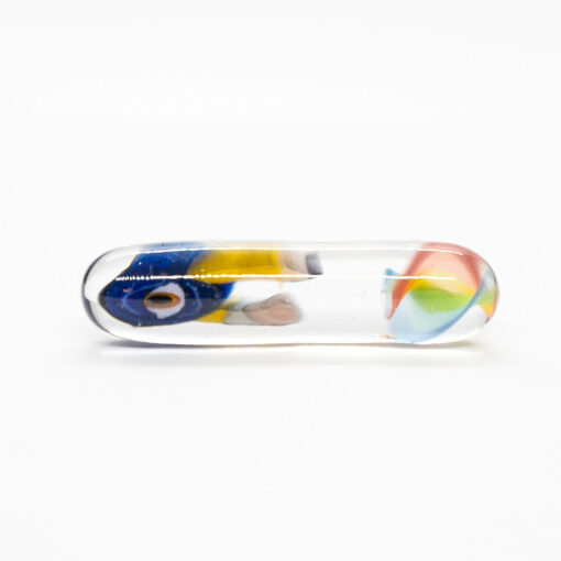Shop Sherbet - Boro Pill - Pencil Rainbow in australian