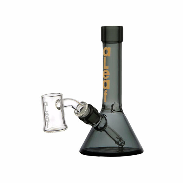Shop Tiny Beaker Dab Rig | 5" | 10mm F in australian