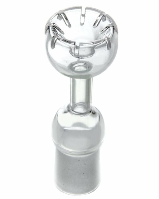 Shop Female Quartz Daisy Dab Nail in australian