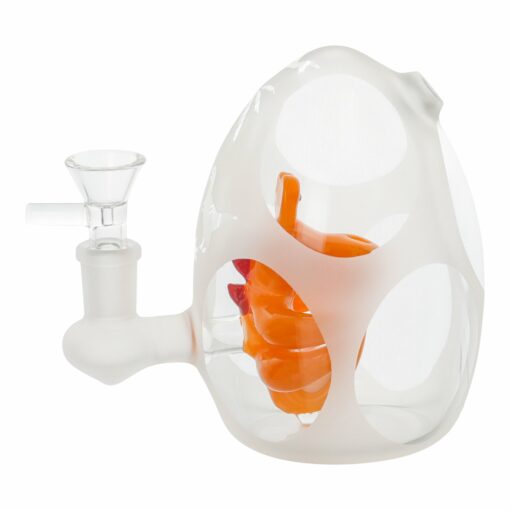 Shop Dino DNA Bubbler Bong - 5in in australian