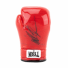 Shop Boxing Glove Hand Pipe in australian