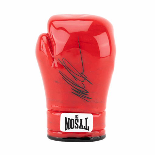 Shop Boxing Glove Hand Pipe in australian