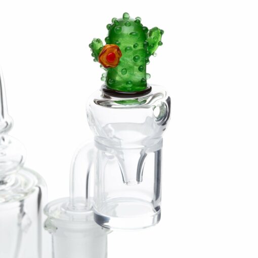 Shop Empire Glassworks Cactus Bubble Cap in australian