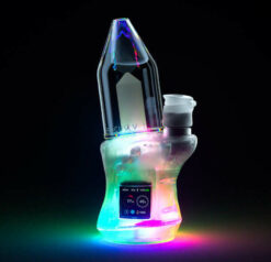 Shop Focus V Carta 2 - Clear Limited Edition in australian