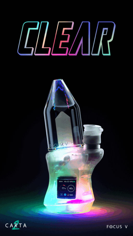 Shop Focus V Carta 2 - Clear Limited Edition in australian