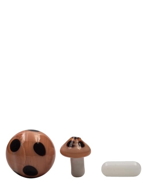 Shop Terp Bead Kit in australian