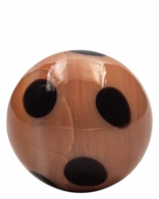 Shop Terp Bead Kit in australian