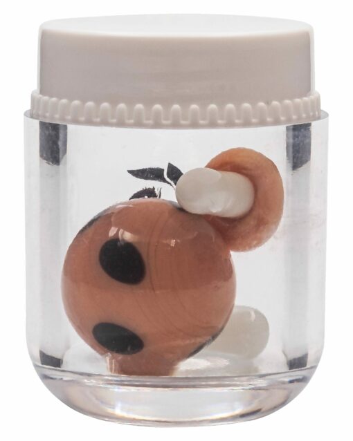 Shop Terp Bead Kit in australian