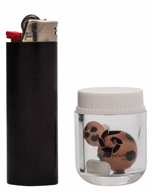 Shop Terp Bead Kit in australian
