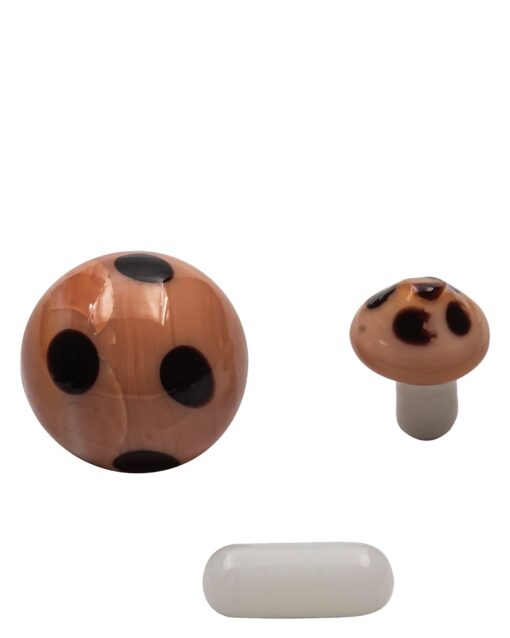 Shop Terp Bead Kit in australian