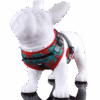 Shop Dog Harness in australian