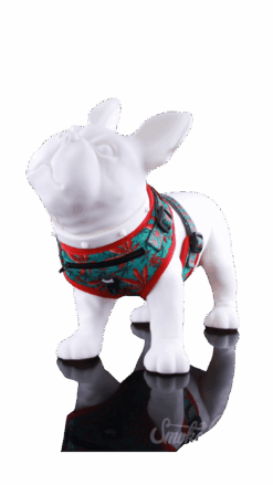 Shop Dog Harness in australian