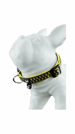 Shop Pet Collar V2 in australian