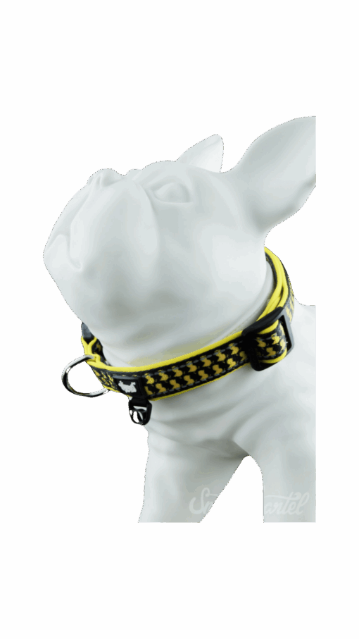 Shop Pet Collar V2 in australian