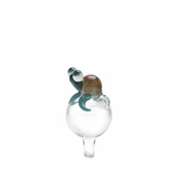 Shop Home Blown Glass Bubble Carb Cap - Turtle in australian