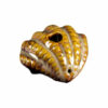 Shop Clamshell Pipe in australian