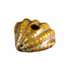 Shop Clamshell Pipe in australian