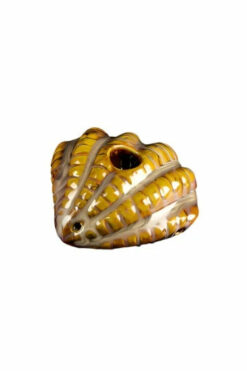 Shop Clamshell Pipe in australian