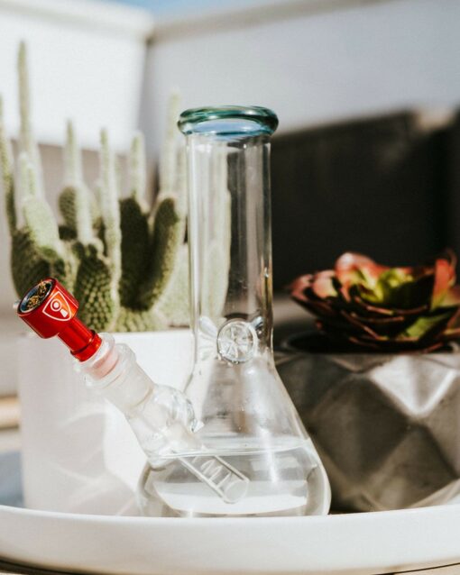 Shop Indestructible Bong Bowl in australian