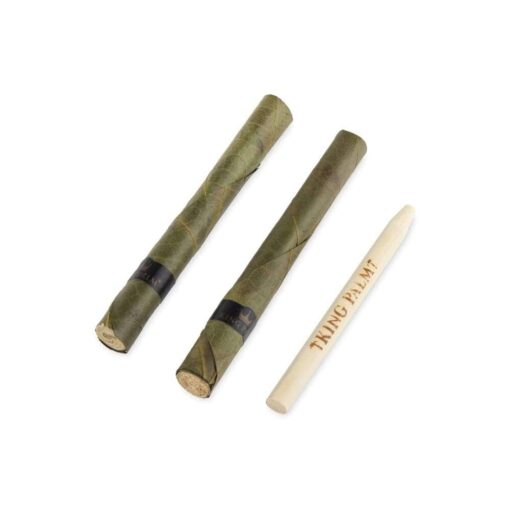 Shop King Size Pre Rolled Cones - 20 Packs of 2 in australian