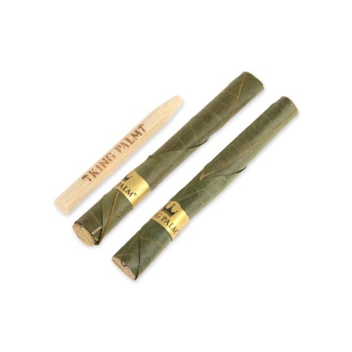 Shop Mini Flavor Pre Rolled Cones - 20 Packs of 2 in australian