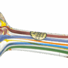 Shop Rainbow Ripper Spoon Pipe in australian