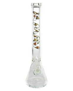 Shop Top City Beaker Bong in australian