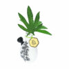 Shop My Bud Vase 
