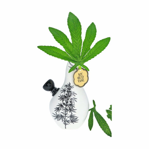 Shop My Bud Vase "Love Bud" Bong in australian